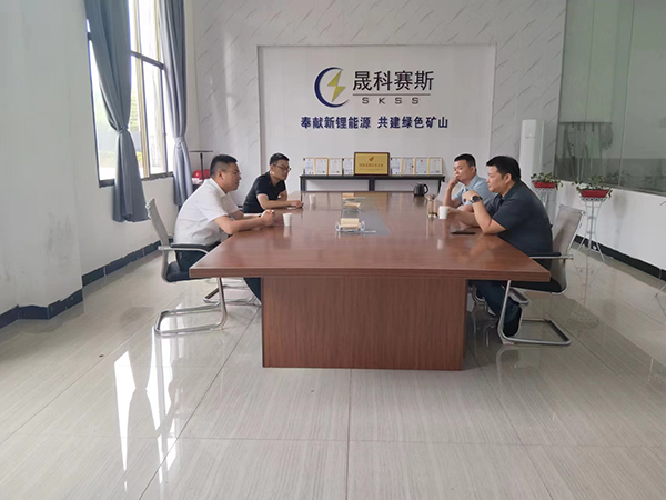 雨湖区副区长陈荡漾赴香大伊煮一本线象大衣调研指导工作